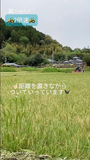 【農業プロジェクト】荒起こし(田起こし)の様子を動画でお伝えします！自然を感じることができました☺️田んぼの様子は随時更新していきますね！#農業 #米づくり