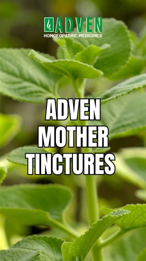Quality is not a claim. It’s a process. At Adven, every Mother Tincture is crafted with: ✔ Authenticated medicinal raw materials ✔ Pharmacopeia-compliant extraction ✔ Monitored maceration process ✔ 96% v/v grain-based pure ENA alcohol (IP standard) ✔ Zero human-touch manufacturing ✔ Batch-wise testing in NABL-accredited labs Because when purity, consistency, and integrity come together — reliability follows. “Tested Hai, Toh Trusted Hai!” That’s the Adven promise. 🌿 #Adven #MotherTincture #Qual
