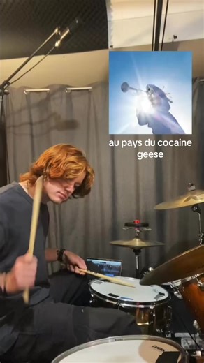 au pays du cocaine - geese drum cover #geese #drums #drumming #drummer #cameronwinter