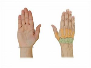 Hands: Move Well, Avoid Injury