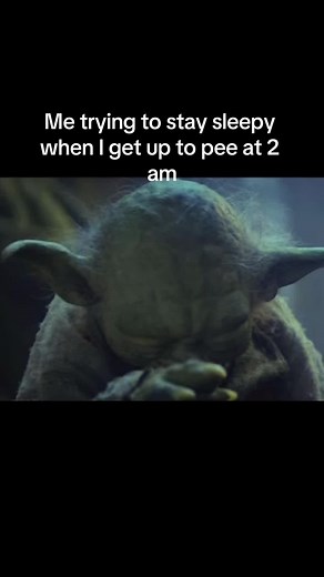 Its a battle every night. #fyp #trendingvideo #viralvideo #yoda #sleepy #fart #pee #staysleepy #lovetosleep #oldladyproblems #starwars #usingthebathroom #funnyvideos #lol #like