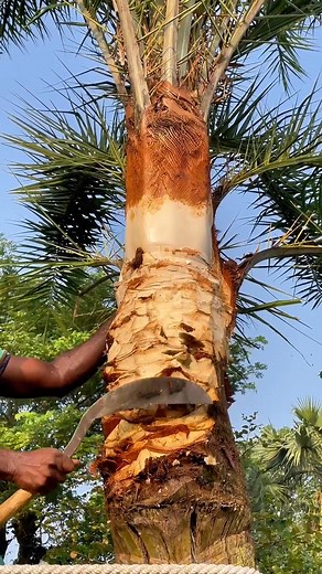 3.2K views | Smart Garden on Reels | Facebook