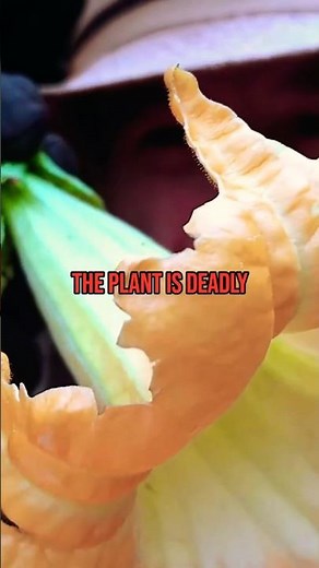 History's Most DANGEROUS Flower!