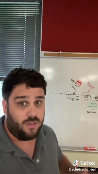 The Evolution of Life on Earth: A Brief History #Science #Evolution #Biology