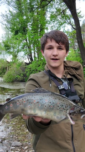 Bachforellen Angeln am Fluss 🐟 #angeln #forellenangeln