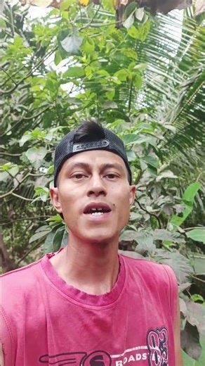 sarang hoeng #viral #fyp