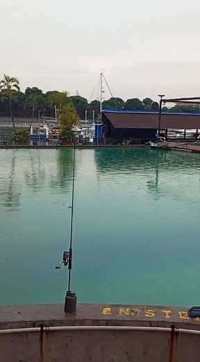 13K views · 83 reactions | 1st is those dirty greenish water, evening we conjure up some magic, it turns dark brownish .... after 1 night, it become the Maldives emerald jade greenish sheen water... the magic havent ends yet | Hook Me Up | Facebook