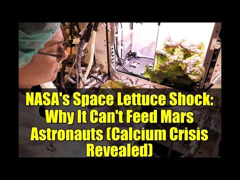 NASA's Space Lettuce Shock: Why It Can't Feed Mars Astronauts (Calcium Crisis Revealed)