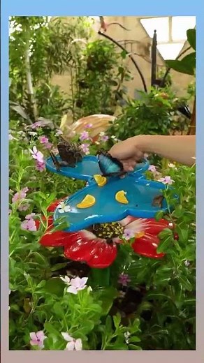 Dubai Butterfly Garden Tour 2025 | Magical World of Colors 🦋 | Arabian Nights Tours