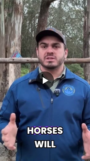 #equineassistedlearning #leadershipdevelopment #smallbusinessowner #eal #horsesteachleadership #regenerativeleadership #leadwithpresence #coastsidecalifornia #withinrangecoaching… | Ranger Kielak