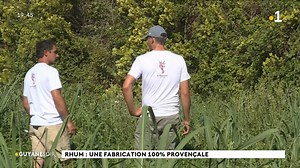 Fabriquer du rhum n'est plus une spécificité ultramarine. Dans le sud de l'Hexagone par exemple, il y a désormais un rhum à base de canne à sucre cultivée à Hyères, dans le Var. Découverte de ce rhum 100% provençal - à consommer avec modération - avec La 1ère | La 1ère