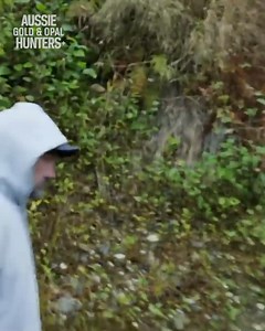 35K views · 704 reactions | Dave and his crew navigate obstacles while prospecting a massive 4,000-acre gold claim. #GoldRushDaveTurinsLostMine | Aussie Gold & Opal Hunters | Facebook