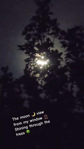 Moonlight view from my window. So majestic and beautiful #1m #autumneffect #night #moon #moonrise 🌙