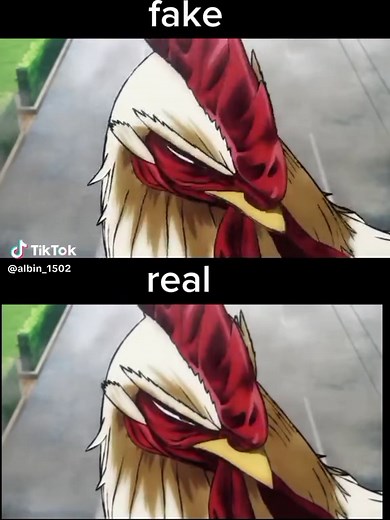 Rooster Fighter Humor: No Te Dejes Engañar