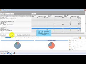 Omni Accounts - Report Writer Data Analysis