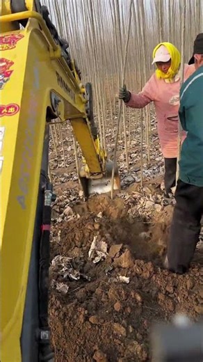 Land Development Process: Tree Uprooting Using Excavator