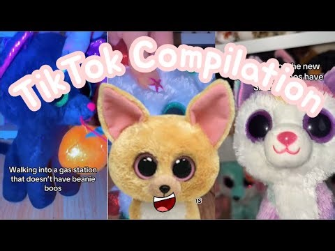 Beanie Boo TikTok Compilation!