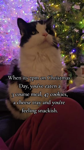 Christmas Snack Ideas for Late Evening Munchies