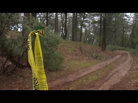 Hiker in Colorado killed in suspected mountain lion attack