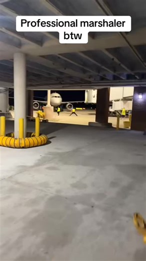 flying_engineers on Instagram: "Let the duty manager see..how boys do.. Credits : @stompytherampagent #aviationlovers #aviationmemes #rampagentmemes"