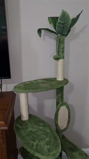 A space-saving cat tree designed for indoor cats with multiple levels for climbing, lounging, and scratching. The leafy design blends into home décor while giving cats vertical play space, cozy platforms, and a stable tower for everyday use. #WeCharmerCatTree #cattok #SpringHomeDecor #tiktokshopcreatorpics #catmusthaves
