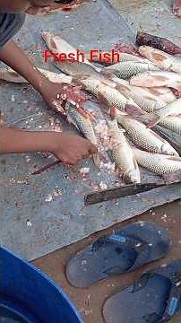 how to process a fish from start to finish🐟
