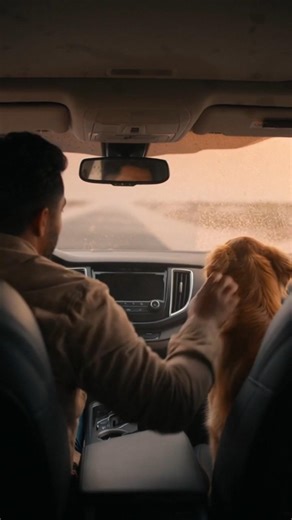 Sudden Dust Storm Warning 🌪️🐕