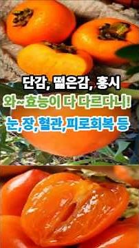 단감,떫은감,홍시 효능이 다 다를줄이야! 그럼 내겐 뭐가 더 좋을까요 #단감 #홍시 #떫은감 #면역력 #비타민C #장건강 #홍시효능 #영양정보 #건강꿀팁