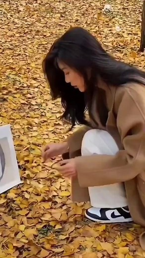578K views · 52K reactions | Ginkgo biloba Make a bouquet of ginkgo leaves for the person you like.❤️ #nature #natureview #naturevideos | Clever Ideas | Facebook