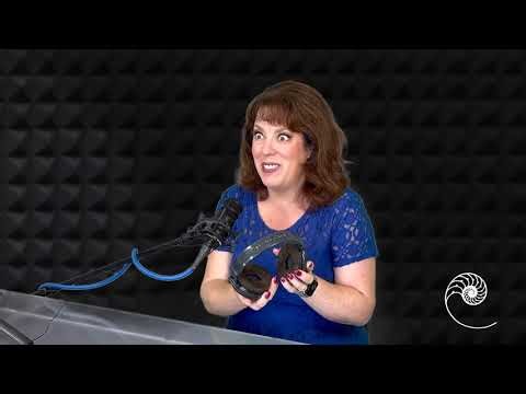 Angela Cardas on the History of Cardas Headphone Cables