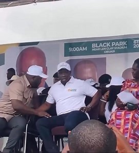 Hon. Emmanuel Armah-Kofi Buah, Minister for Lands and Natural Resources, reaction after being informed of the incident. #PulseNews | Pulse Ghana