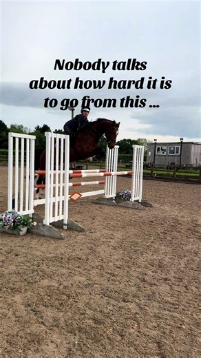 The Unpredictable Journey of Horse Ownership