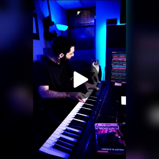 Cat's Musical Suggestions - Blooper Reel!