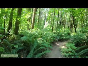 Whipple Creek Park - Trail Exploring by Mountain Bike