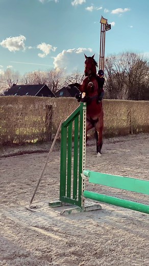 Joanna Assenmacher (@joannaassenmache)’s videos with Originalton - Joanna Assenmacher