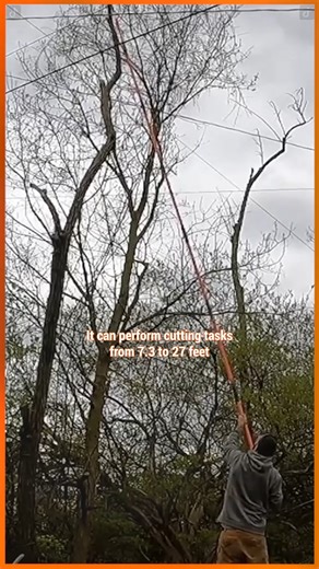 Lightweight, and super sharp – it’s your perfect tree-trimming companion. 🌲✂️ • 🧡 Like this post ⚙️ Get Featured: #VEVORDIY & @vevor.official 🎥 @Handy Landlord #VEVOR #treetrimming #lawntips #lawncare #homediy #homeimprovement | VEVOR Home Improvement