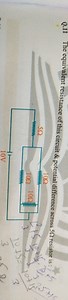 Q. 11 The equivalent resistance of this circuit \& potential di... | Filo