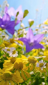 13 reactions | The Spring Meadow  | Wildflower Wonders | Facebook