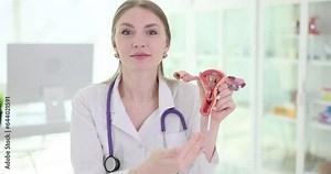 Doctor shows an anatomical model of uterus and ovaries with pathologies closeup. Gynecological diseases and treatment