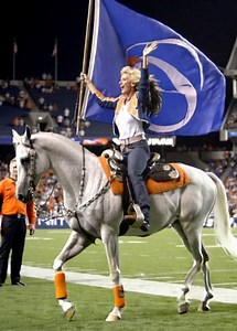 When the Denver Broncos charge onto the field at Mile High, they’re led not just by players or cheers, but by a thundering symbol of power, grace, and team pride: Thunder. A stunning purebred Arabian horse, Thunder has been the Broncos’ official live animal mascot since 1993. With his flowing white coat, calm personality, and unmistakable presence, Thunder has become one of sports’ most iconic mascots—winning hearts from die-hard fans to starstruck children meeting him for the first time. 🐴 Fro