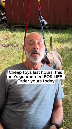 14K views · 50 reactions | Did you know the #1 cause of dog...