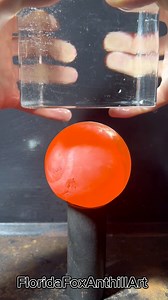 697K views · 2K reactions | MASSIVE HOT BALL vs ice cube 流 #redhotcone #ice #experiment #asmr #science #bighotball | Floridafoxanthillart | Facebook