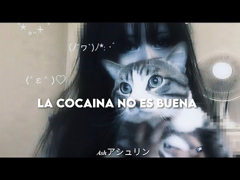 "la cocaina no es buena para su salud" - crystal castles - untrust us (speed up) / lyrics español