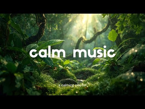 Calm Waves: Nhạc Thư Giãn Ambient Chill Với Rừng Xanh