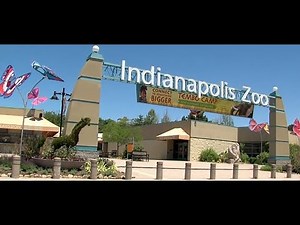 Marion County readies for reopening