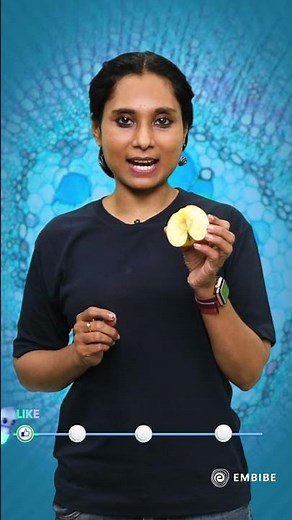 Parenchyma | Types, and Function of Parenchyma | Biology | Noor Ayesha | Embibe