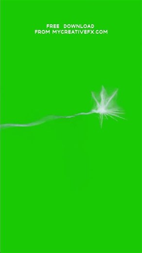 Green screen Spider Web Pack FREE