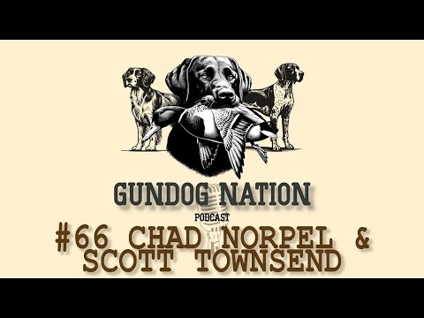 Chad Norpel and Scott Townsend - Inside NSTRA: Trials, Training, And Community Building Better Dogs