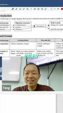 Digestive System: 3 Main Food Groups Revealed! #shorts