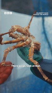 54K views · 223 reactions | Harry's sound effects are HILARIOUS  #CelebrityRaceAcrossTheWorld #iPlayer #HarryJudd | BBC | Facebook